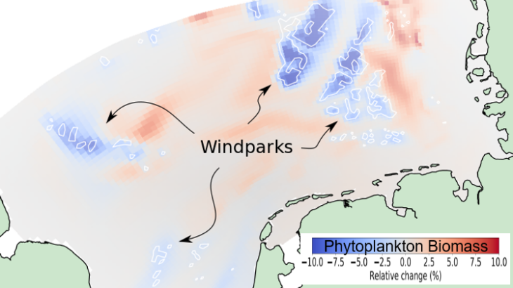 Veränderungen der Phytoplankton Biomasse nahe Windparks (Simulation)