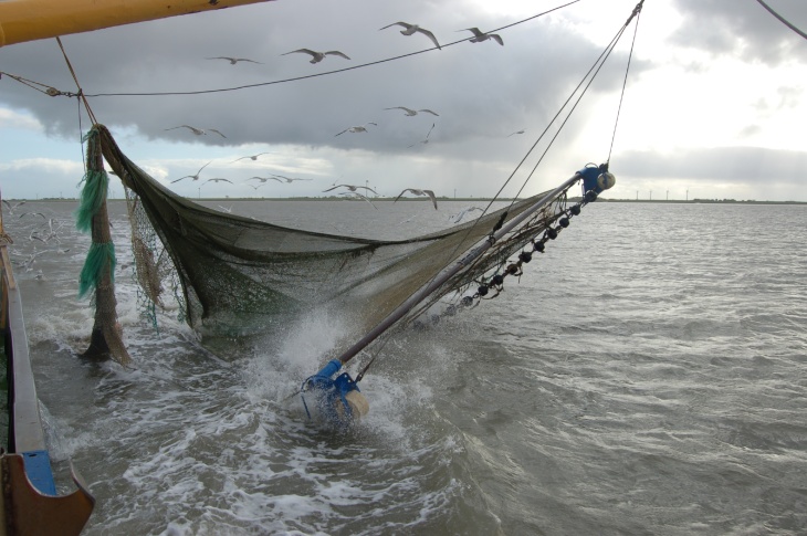 Shrimp fishing vessel 