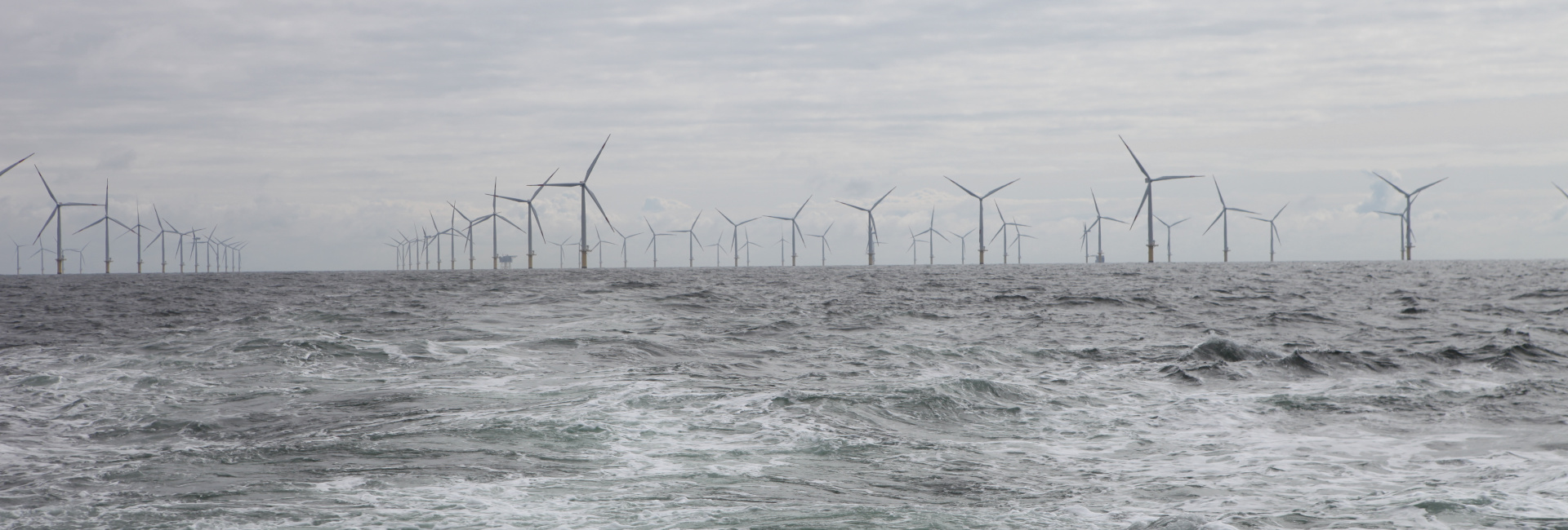 Blick über die Nordsee auf einen Offshore-Windpark am Horizont. Foto: Hereon/ Anna Ebeling