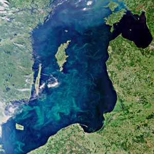 Satellite image of the Baltic Sea