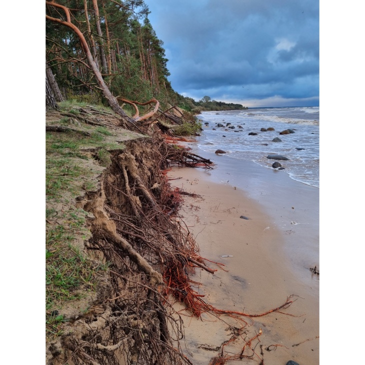 Coast of Saulkrasti, Latvia after the 5th October 2023 2023 storm extreme event. © Municipality of Saukrsti, Latvia.