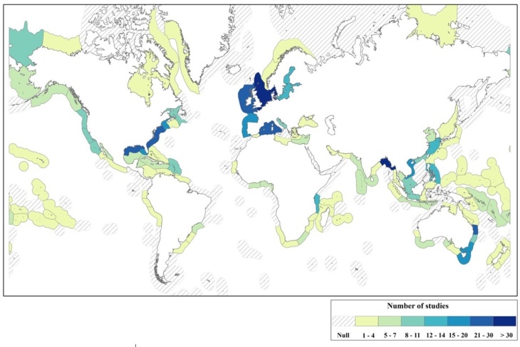 Geographical distribution of reported coastal adaptation research studies by ecoregion. © David Cabana et al.