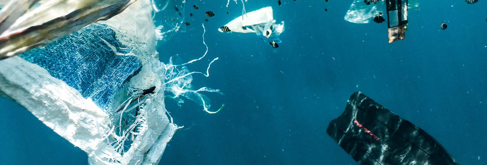 Plastic in the ocean. Photo: Naja Bertolt-Jensen via unsplash