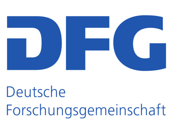 Dfg Logo