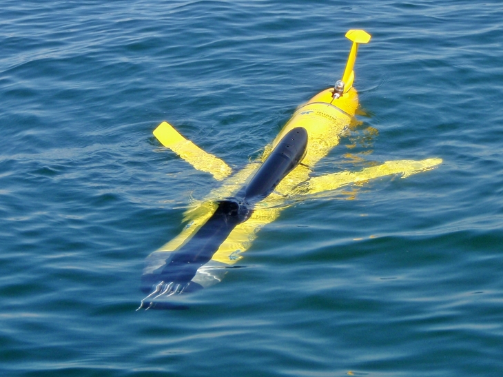 A glider dives - silently like a glider.