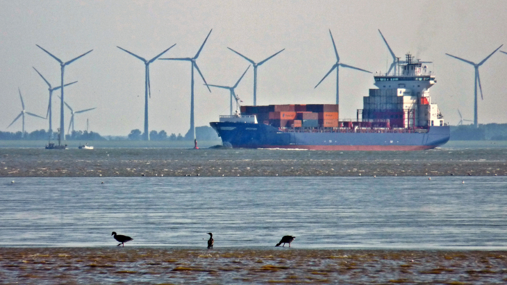 Windräder, Containerschiff, Elbe und Vögel