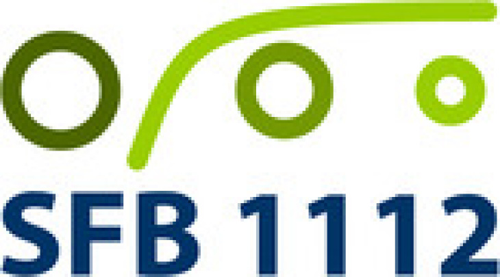 Logo SFB 1112