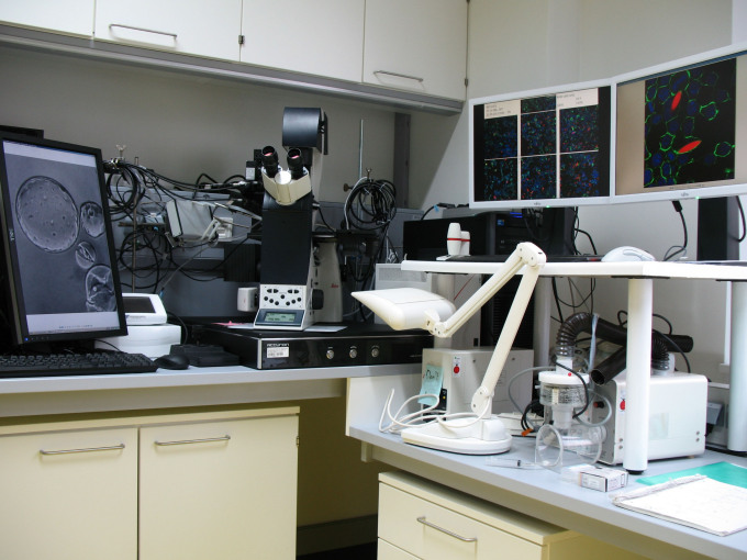 Micro/-nanoparticles and microfluidics labs
