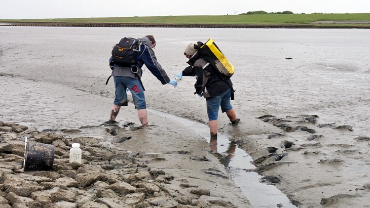 Taking samples in the mud flats