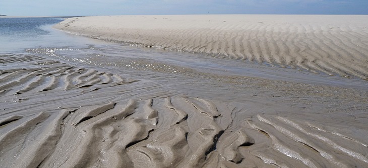 Low tide, traces in the sand