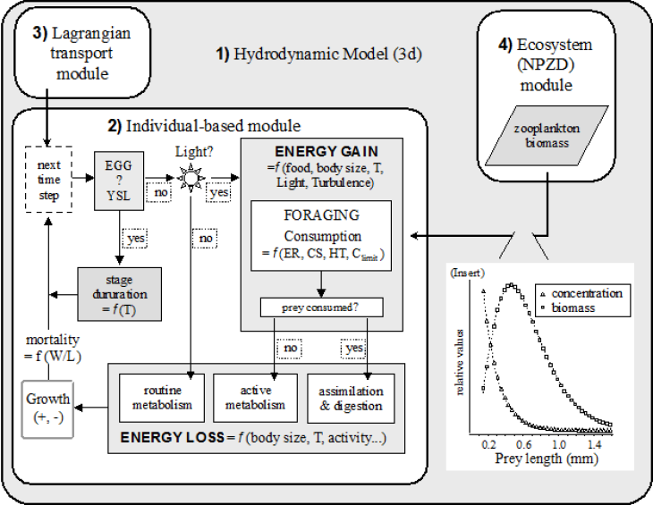 Ecosmo Ibm Model Graphic