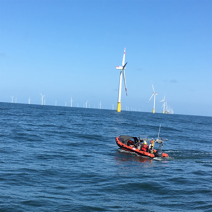 Messung mit der Schleppkette im Nordsee-Windpark Dan Tysk. -Bild: Martzina Heineke/Hereon-