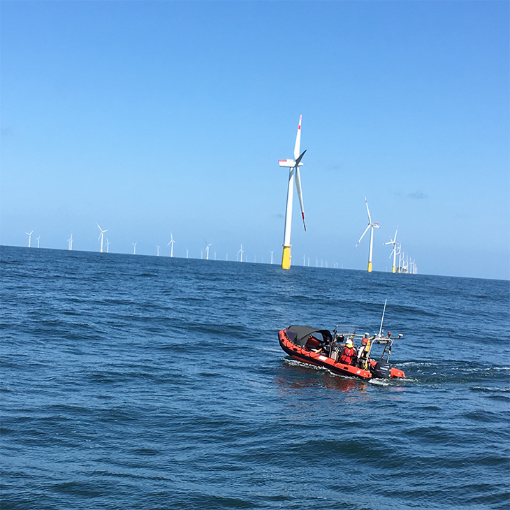 Towed instrument chain measurements at wind farm DanTysk. -image: Martina Heineke/Hereon-