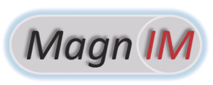Magnim Logo