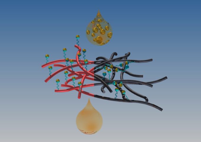 Die Grafik zeigt die Membran aus Kunststoff-Fäden (rot und schwarz) mit Proteinen, die ihre metallbindende Eigenschaft aktiviert haben (blau)