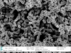 The nanomaterial under the scanning electron microscope.