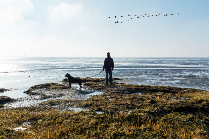 Mensch und Hund am Wattenmeer