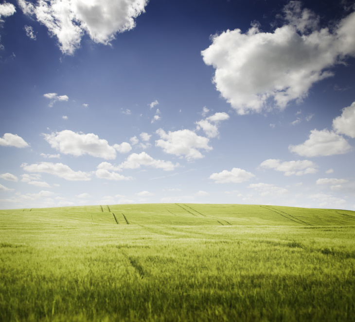 grünes Feld unter blauem Himmel