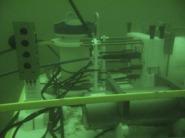 Unterwasserfoto des Observatoriums