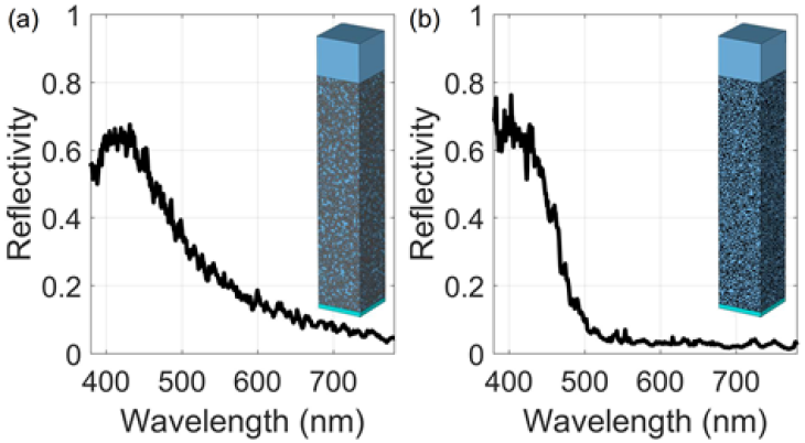 Comparison of the calculated reflection spectra of two photonic glasses