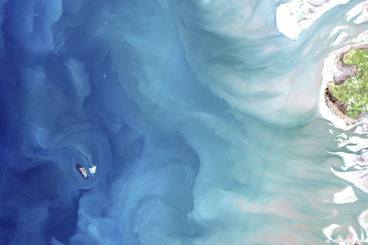 Satellite image North Sea algae