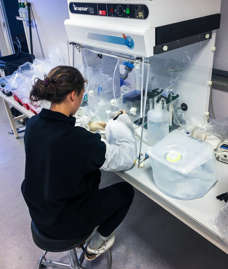 Chantal Mears führt eine Filtration in einer Cleanbench im Labor durch.