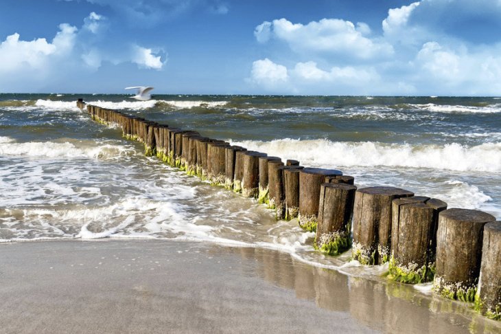 A view from the beach to the sea. Wooden piles serve as breakwaters