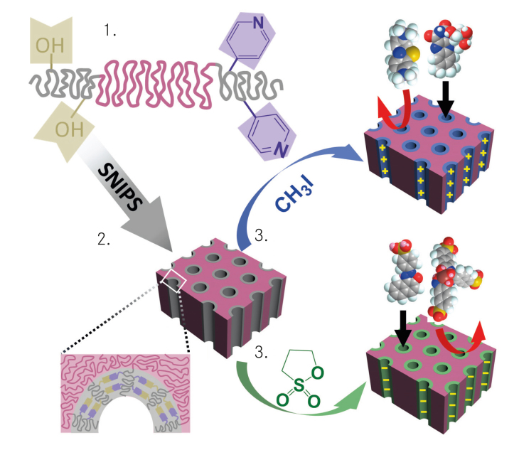 Bildung der Terblockterpolymer-Membran aus einzelnen Polymersträngen