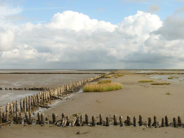  the Wadden Sea and seafloors of the North Sea coast