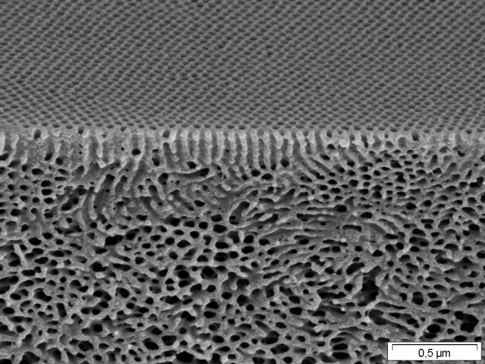 Self-organising isoporous block copolymer membranes