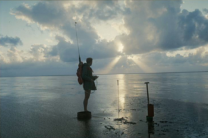 Man standing in the Wadden Sea